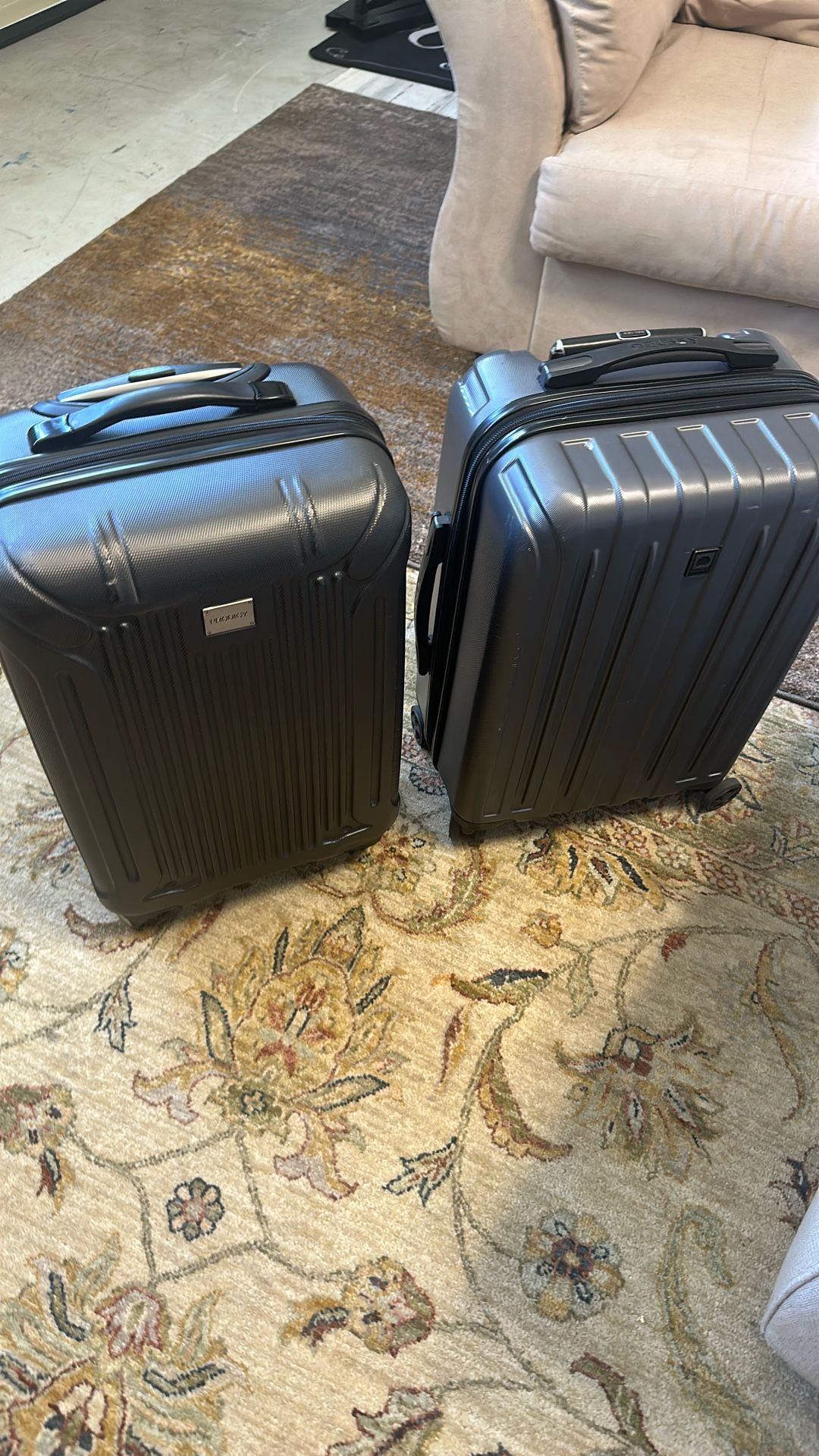 Two Travel Luggages