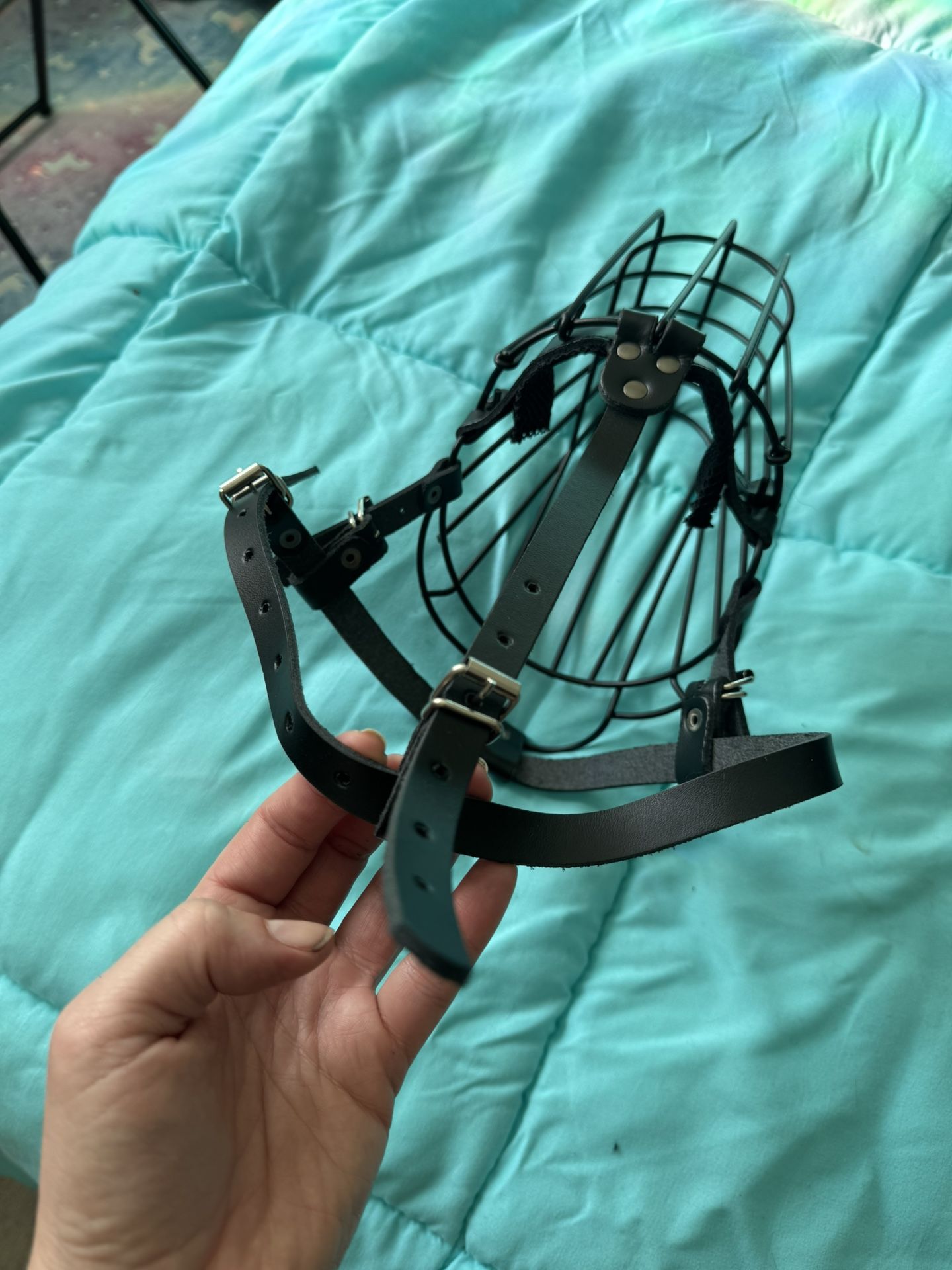 Dog Muzzle