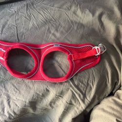 XXS Dog Harness
