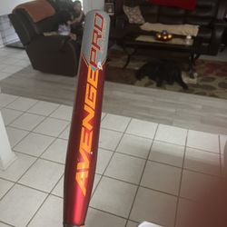 Axe Softball Bat