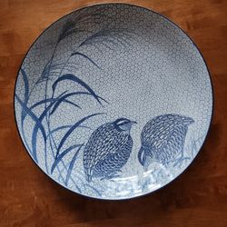 Dish 16 Inches 