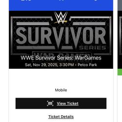 1 Survivor Series Ticket 