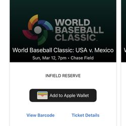 World Baseball Classic 