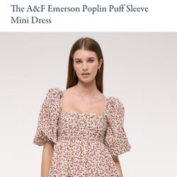 Poplin Dress ( New With Tags) M 