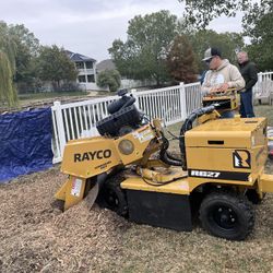 Stump Removal And Grinding