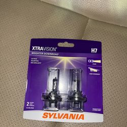 Low Beam headlights 