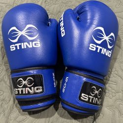 Sting 12oz boxing Gloves
