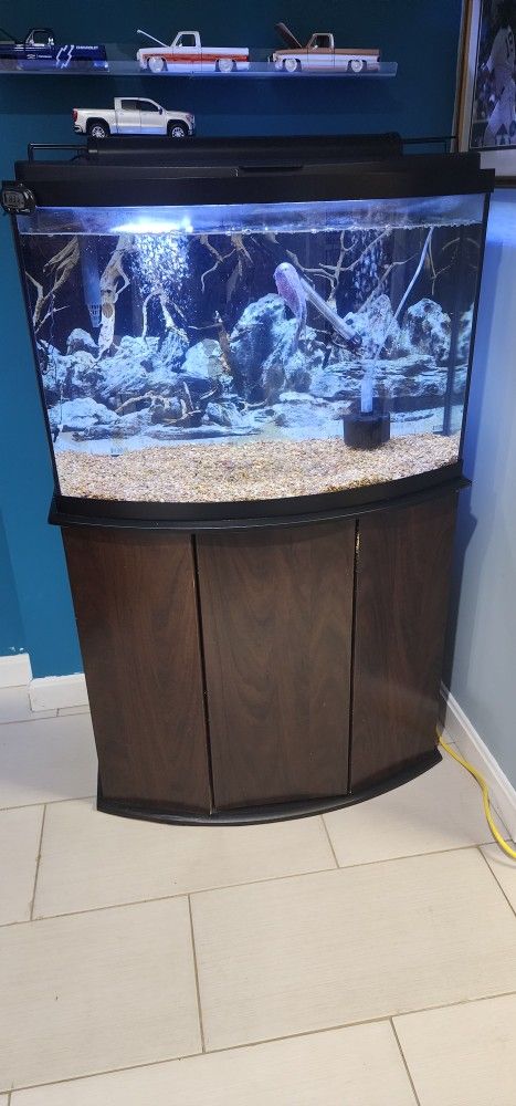 40 Gallon Fish Tank
