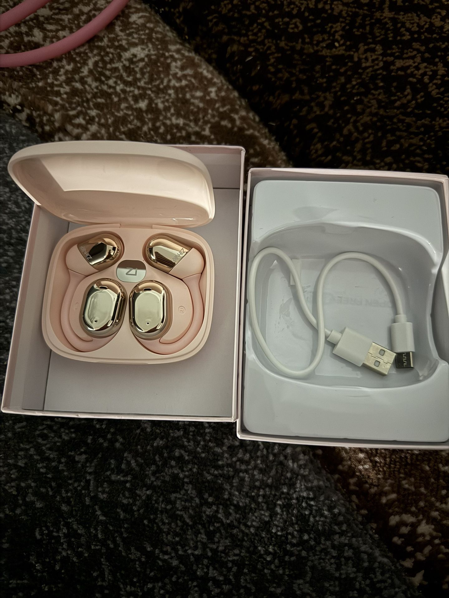 Earphones