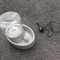 Pet Water Fountain