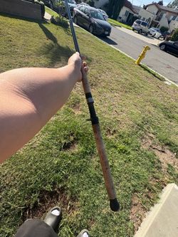 shimano calcutta rod
