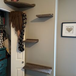Cat Shelves 
