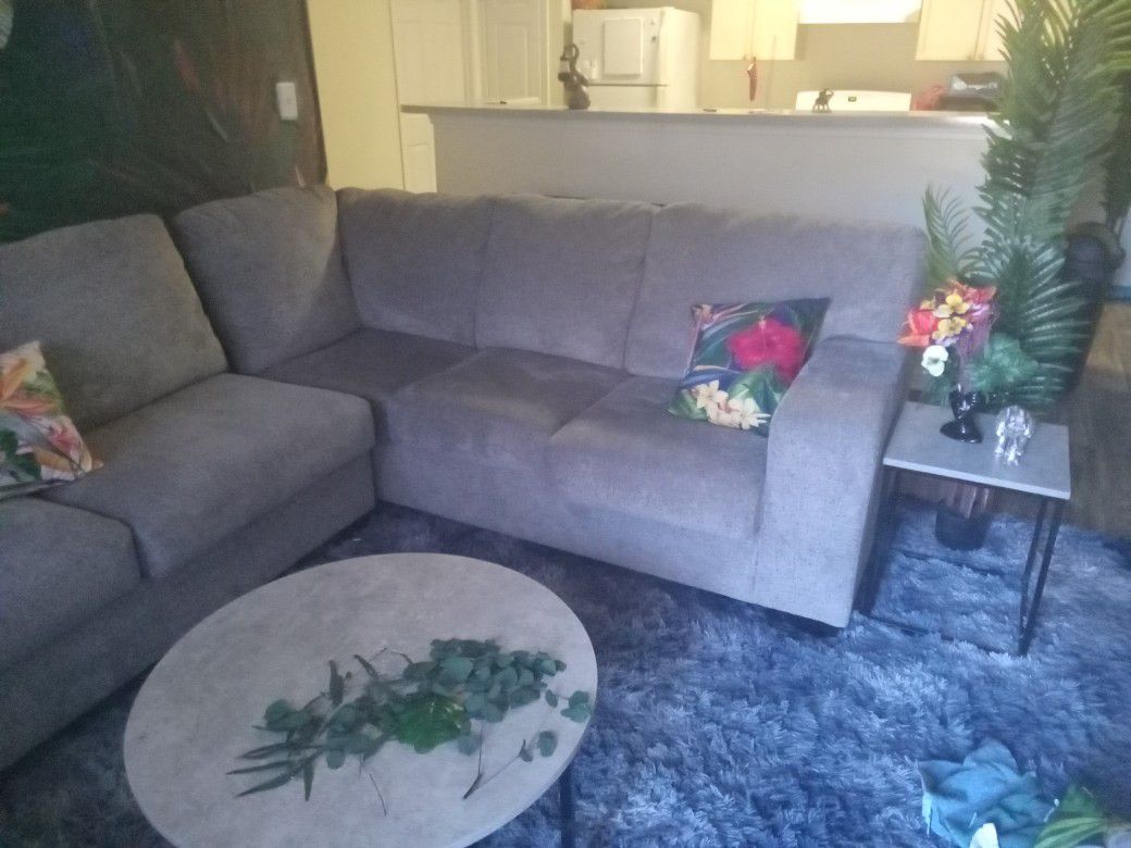 Barely Used Sectional With End Tables Homes
