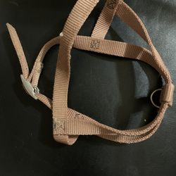 D-5  Harness For Dog Or Cats, Beige Size Medium