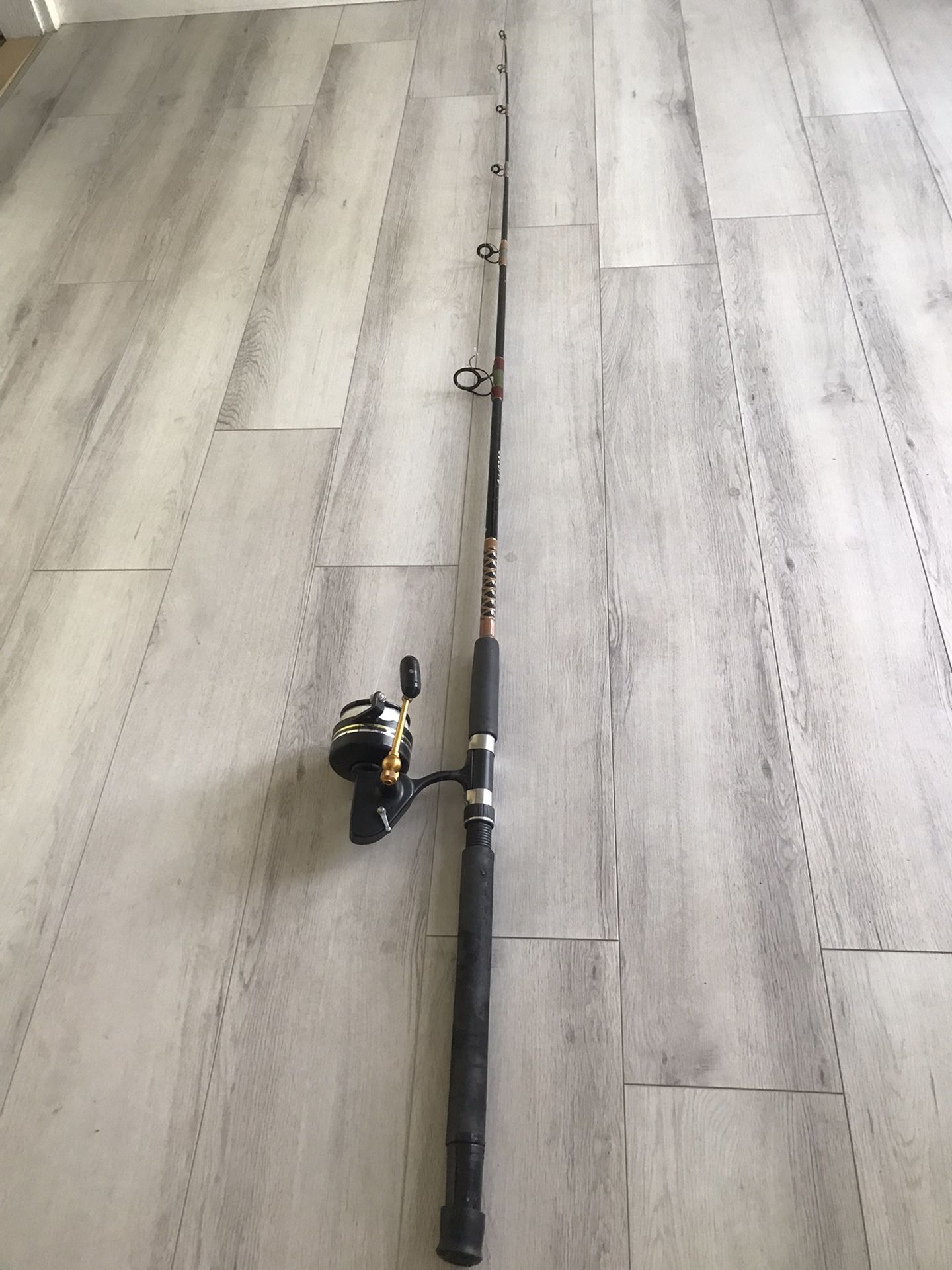 Fishing Rod/ Reel
