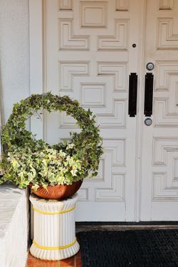 Variegated Ivy Wraith + A Ceramic Stand