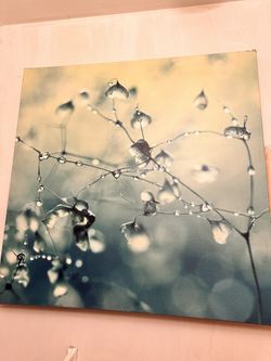Paint Decor