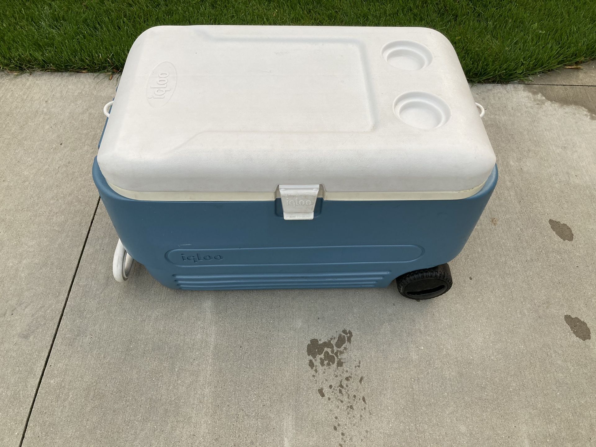 Igloo cooler