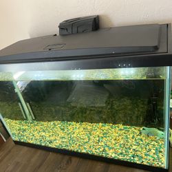 29 Gallon Aquarium.