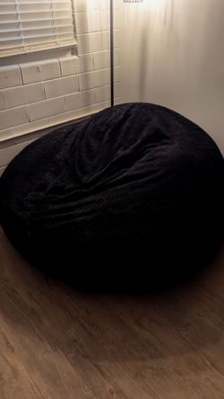5 ft adult bean bag
