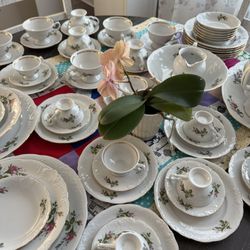 Poland Moss Rose Fine China 8 Persons