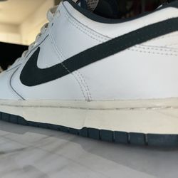 Nike Dunks 