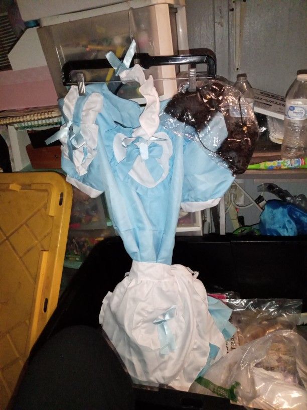 Blue Dress Costume
