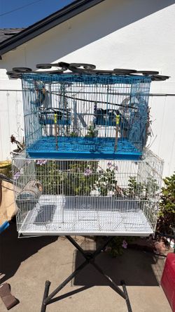 Bird cages