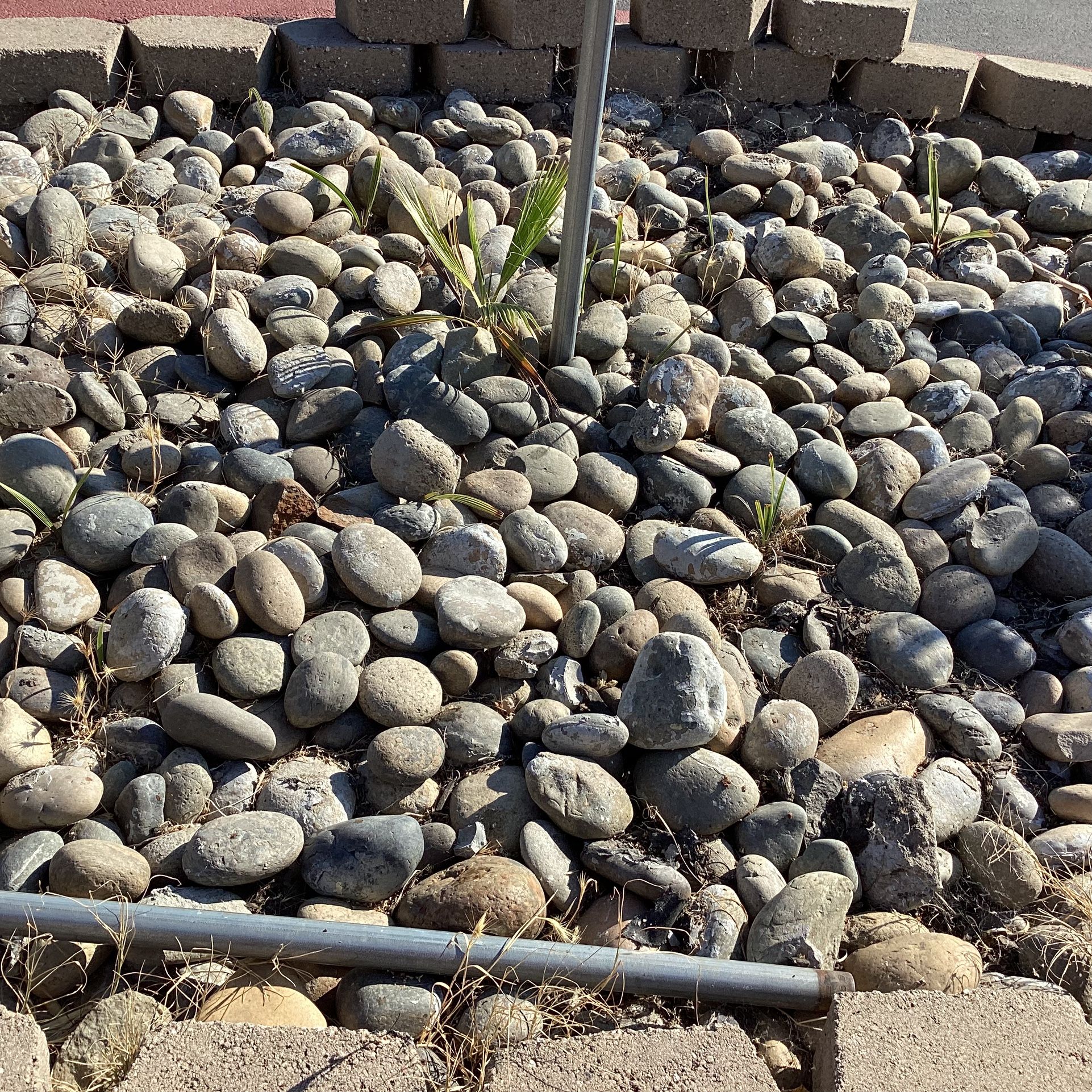 Rocks