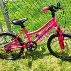 BCA 20 INCH BMX 6 SPEED - DUAL HAND BRAKES