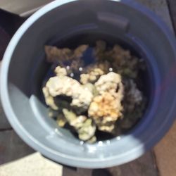 Saltwater fish tank love rock