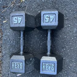 45 lbs Hex Dumbbell