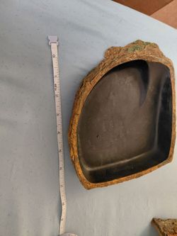 Reptile food bowl
