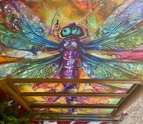 A Stunning Dragon Fly Inspired Chest