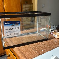 10-gallon Aquarium Tank