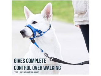 Good Boy Brand Head Halter/Lead/Collar