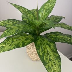 Fake Plant Decoration