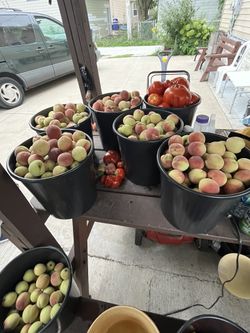 Duraznos/ Peaches For Sale(Ala Venta)