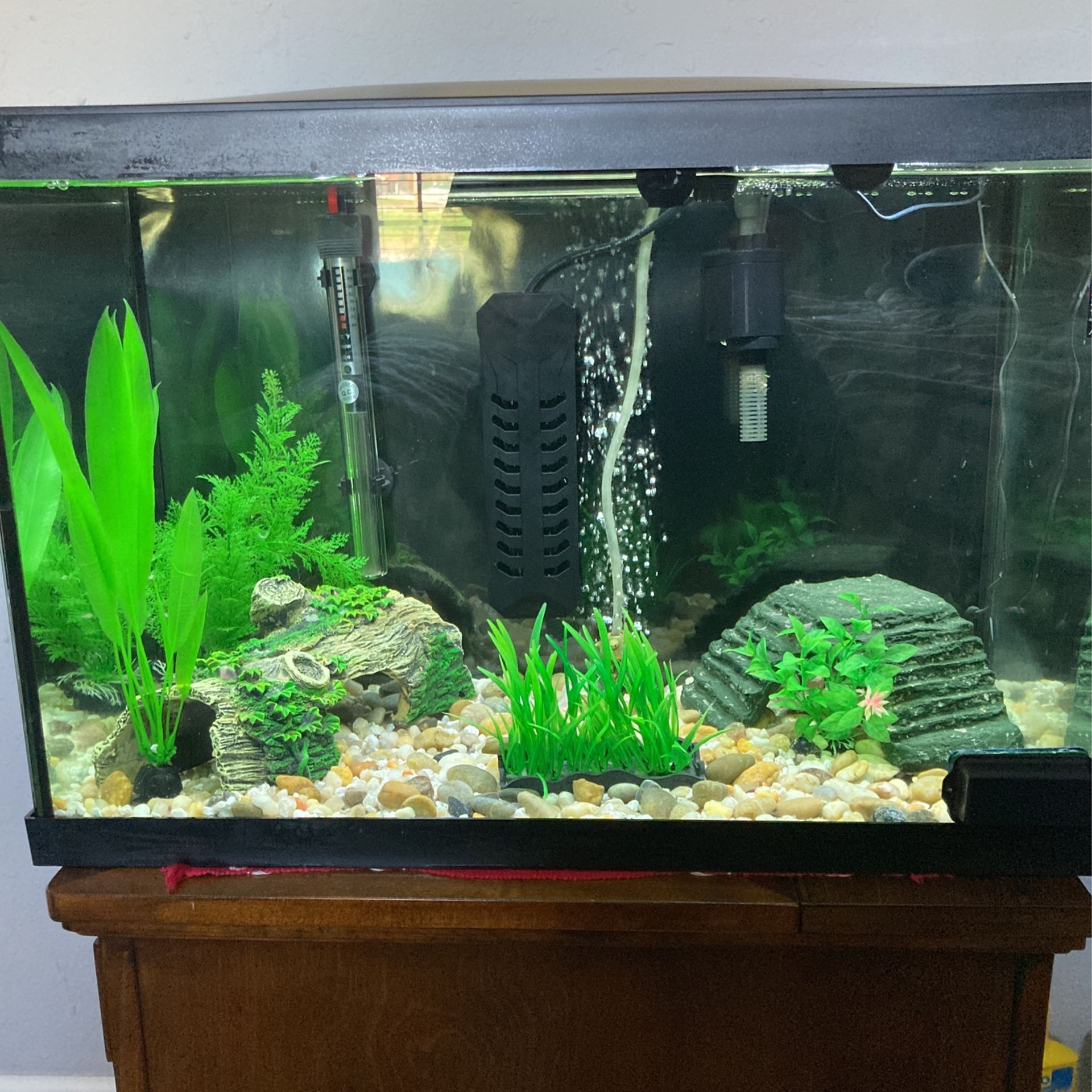 20 Gallon Top Fin Aquarium 