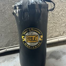 Everlast Heavy Punching Bag 40lbs