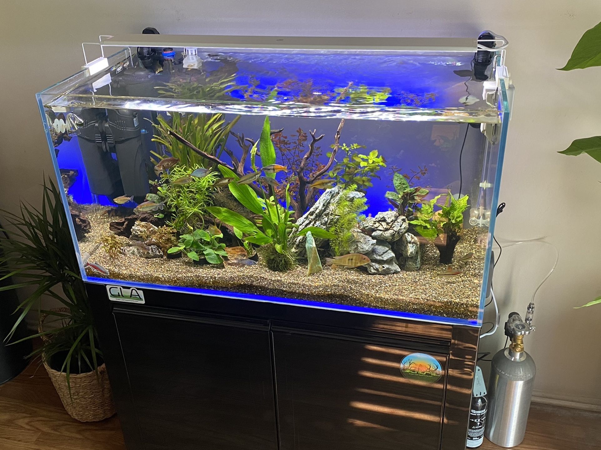AQUARIUM SETUP FOR SALE FISH TANK SETUP for Sale in Whittier, CA - OfferUp