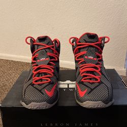 Lebron 12s for Sale in Eleven Mile AZ OfferUp