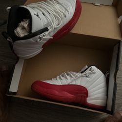 Jordan 12 