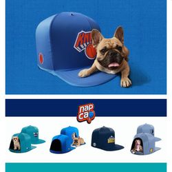Clippers Dog Hat House Limited Edition 