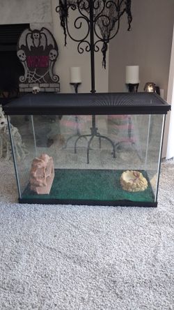 Reptile aquarium