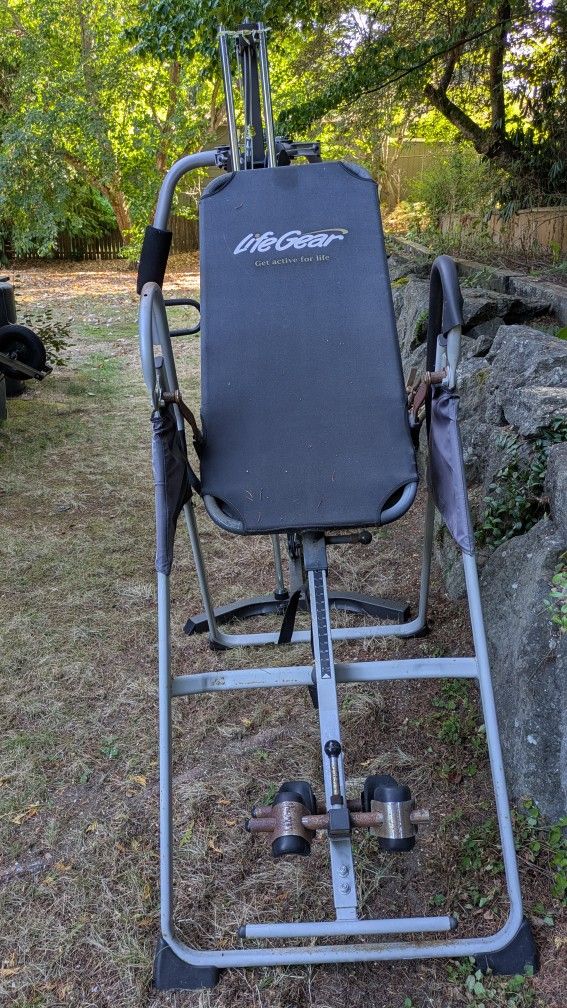 Inversion board