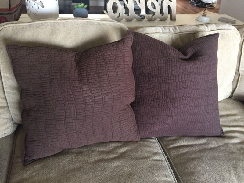 Pair of brown throw pillows