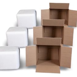 Shipping Cooler 210 11.5-QT