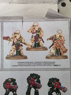 Bladeguard Veterans Warhammer
