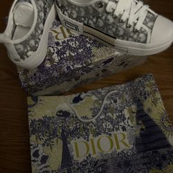 Dior Shoes 155$